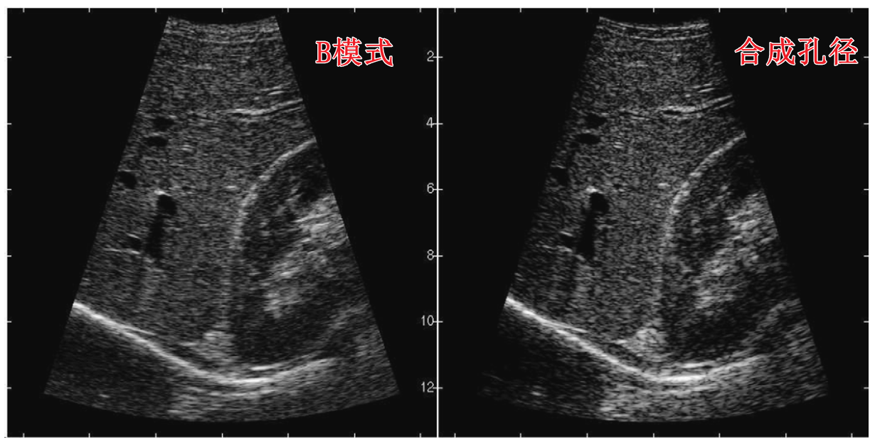 image-20251110204155547